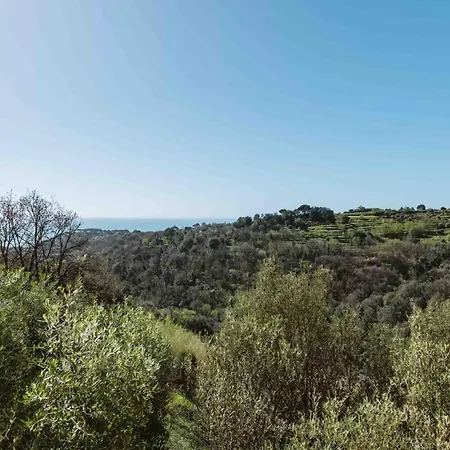 Abc ゲストハウス