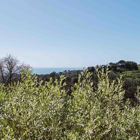 Abc Pensión Celle Ligure